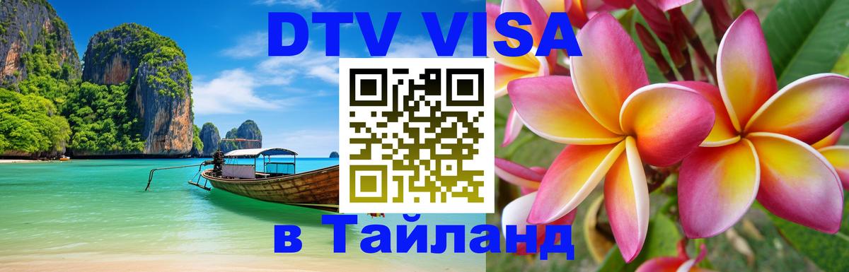 Оформление DTV визы под ключ: стоимость и тарифы, только загранпаспорт - Сыктывкар 